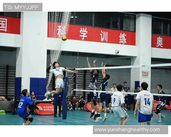 南京排球队阵地战革新探索与实践的深度剖析与未来展望