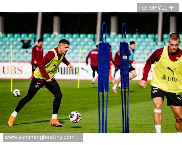 瑞士安道尔足球的魅力与发展历程探讨及未来展望 瑞士安道尔足球的魅力与发展历程探讨及未来展望