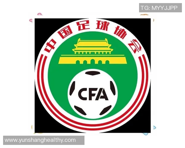 足球拉升的力量与魅力如何影响全球体育文化与经济发展 足球拉升的力量与魅力如何影响全球体育文化与经济发展